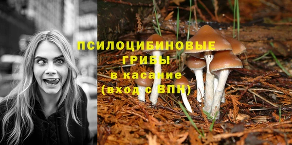 spice Алексин