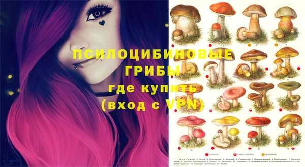 стафф Алзамай