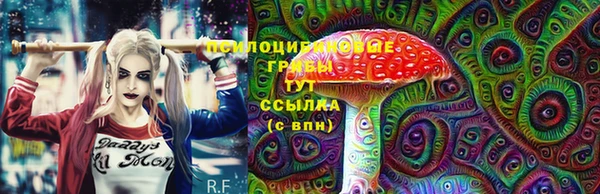 стафф Алзамай