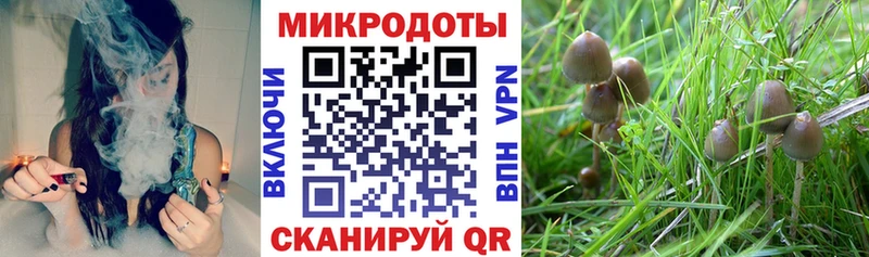 Галлюциногенные грибы GOLDEN TEACHER  Печоры 